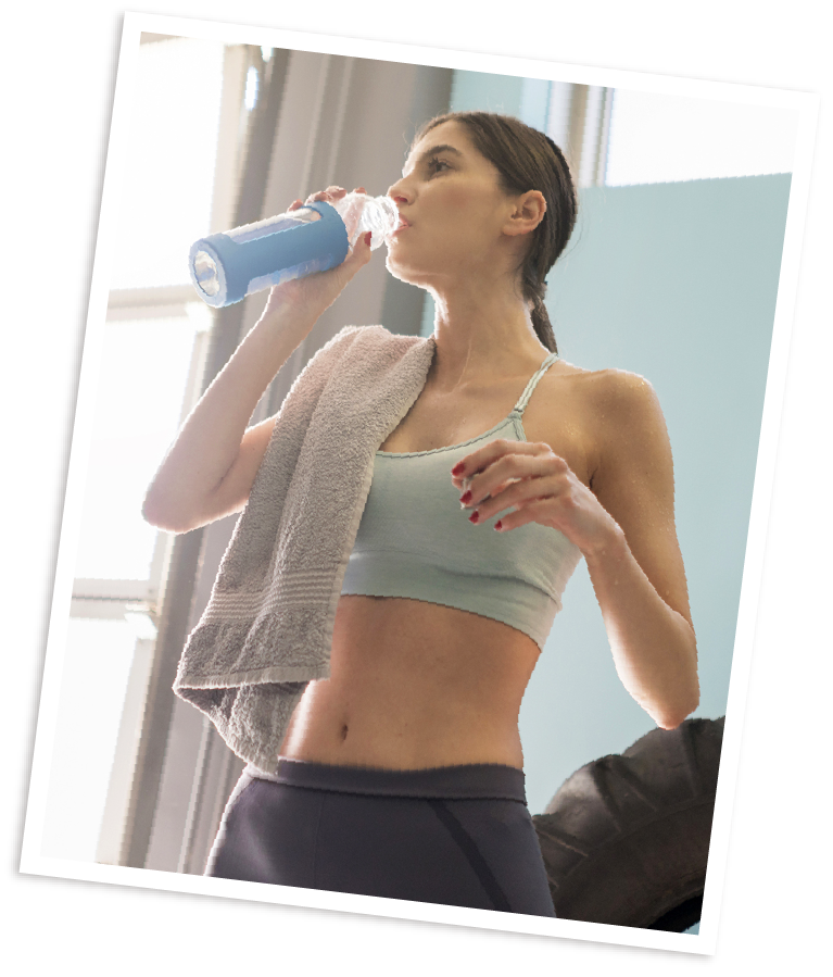 フィットネクサス24