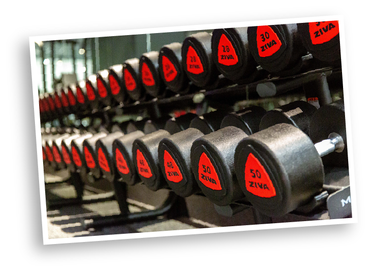 フリーウエイトエリア