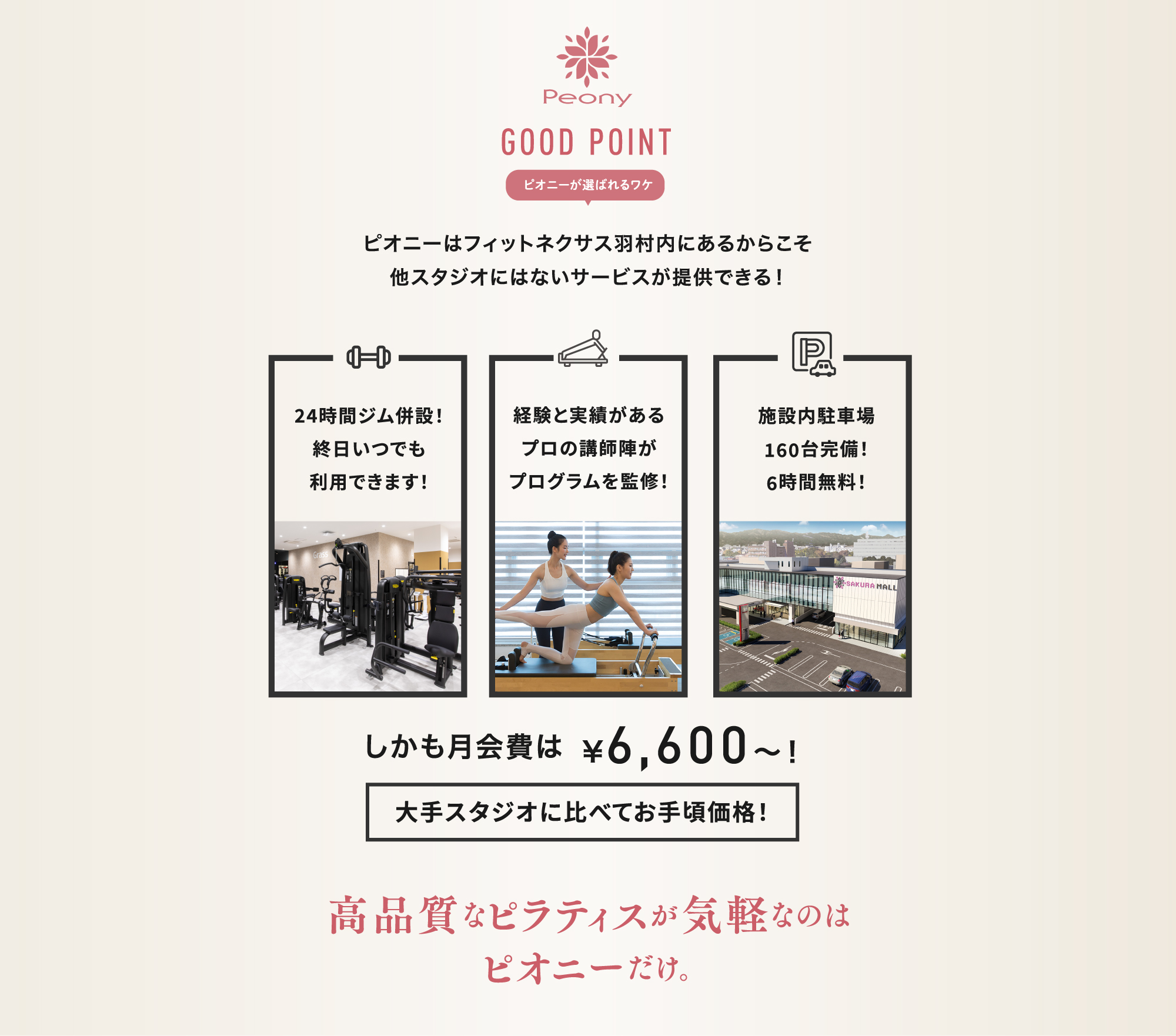 peonyはラテン語で”芍薬”を意味します。 “たてば芍薬  座れば牡丹  歩く姿は百合の花”